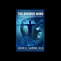 The Divided Mind - John E. Sarno Cover Art