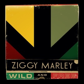 Forward to Love Ziggy Marley