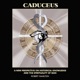 Caduceus a New Perspective On Historical Knowledge and the Spirituality of Man