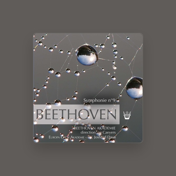 Beethoven Akademie's avatar