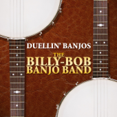 Duellin' Banjos