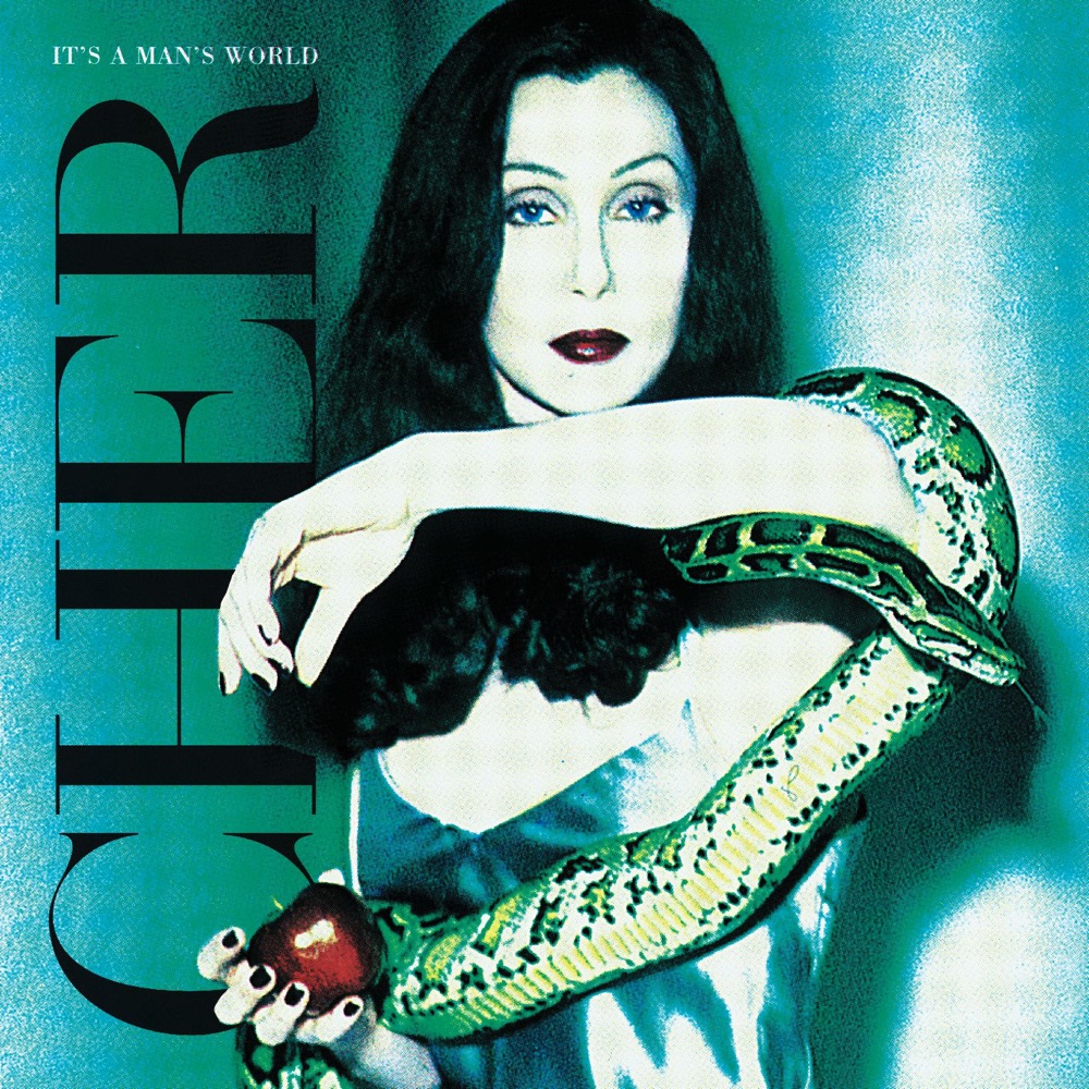 Обложка альбома «It's a Man's World» — Cher