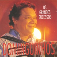 Os Grandes Sucessos - Dominguinhos