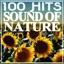 100 Hits Sound of Nature (Relaxing Music)