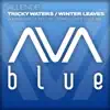 Allende - Winter Leaves (Cape Verde Mix)