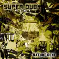 Steel Six Dub