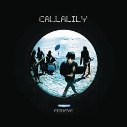 Fisheye - Callalily Fisheye - Callalily