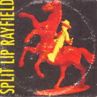 Pinball Machine — Split Lip Rayfield