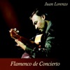 Trinidad Trinidad (Live) Flamenco de Concierto