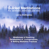 Guided Meditations: For Calmness, Awareness, and Love (Unabridged)