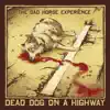 The Dad Horse Experience - Kingdom It Will Come