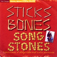 Sticks Bones Song Stone - Ash Dargan