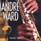 Make You Fall In Love - Andre Ward lyrics