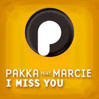 I Miss You (Axel Coon Remix)