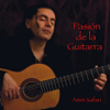 Pasión de la Guitarra - Amin Safari