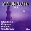 Famous Naaten, Vol. 3 - Islamic naats