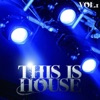 This Is House Vol.1