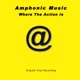 Where The Action Is Amps 120