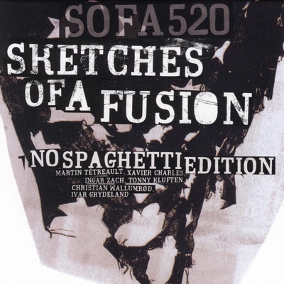 Sketches of a Fusion