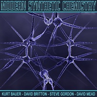 Modern Synthetic Chemistry - Kurt Bauer, David Britton & Steve Gordon