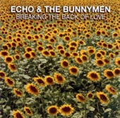 Echo & The Bunnymen - The Cutter