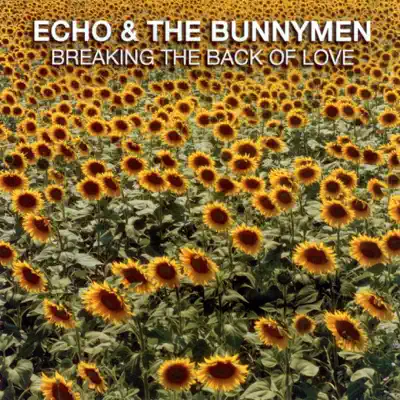 Breaking the Back of Love - Echo & The Bunnymen