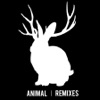 Animal (Remixes) - Single