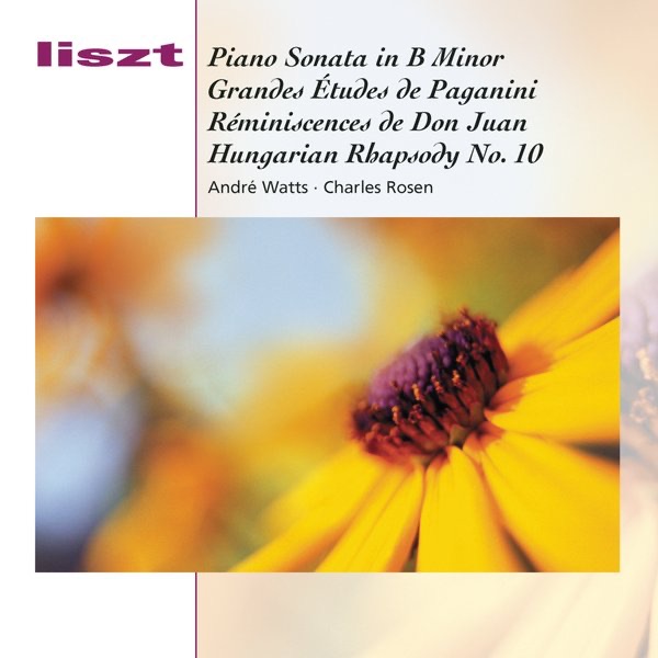 Обложка альбома «Piano Sonata» — André Watts & Charles Rosen