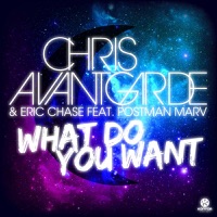 What Do You Want (feat. Postman Marv) - Single - Chris Avantgarde & Eric Chase
