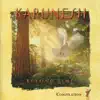 Karunesh - Sweet Dreams