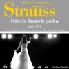 Johann Strauss : Trisch-tratsch polka, Op. No. 214 (100 classic masterpieces) - Single