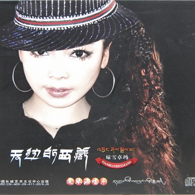 Qiong Xuezhuoma - 這一生說過我愛你 (Said I Love You)