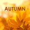 Autumn (Original Mix) artwork