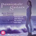 The Day In The Life Of A Fool - Passion Guitars