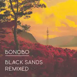Black Sands Remixed (Bonus Track Version) - Bonobo