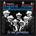 Si Me Permites
