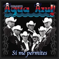 Si Me Permites