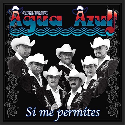 Si Me Permites - Single