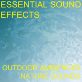 River Water Fall Stream Flow Spring Rushing Creek Sound Effects Sound Effect Sounds EFX SFX FX Water Sound Effects River
