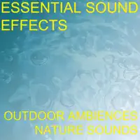 Train Subway Metro Railroad Cross Crossing Warning Bell Gate Ring Ringing Sound Effects Sound Effect Sounds EFX SFX FX Natural Ambience Sounds Traffic and Cars — Essential Sound Effects