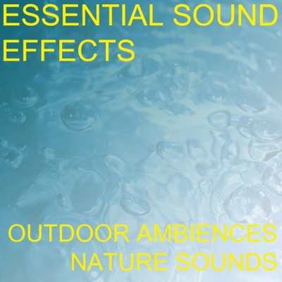 Essential Sound Effects - Shop Shopping Center Mall Kids Children Background Ambience Sound Effects Sound Effect Sounds EFX SFX FX Natural Ambience Sounds Buildings