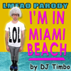 I'm in Miami Beach (Parody of LMFAO I'm in Miami Bitch) - DJ Timbo