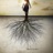 Search the Earth