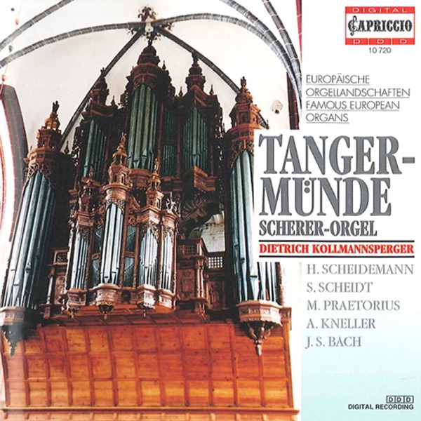 Tangermunde album cover