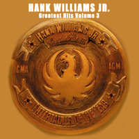 Hank Williams, Jr. - Greatest Hits, Vol. 3 artwork