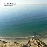 Skyscraper — The Smokering