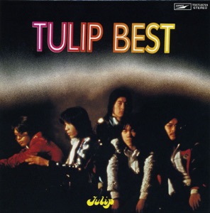 心の旅 (TULIP BEST)