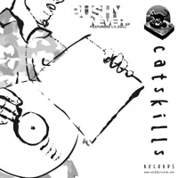Never (Bonobo Mix) — Bushy