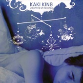 Kaki King - So Much for so Little