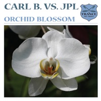 Orchid Blossom - Carl B.